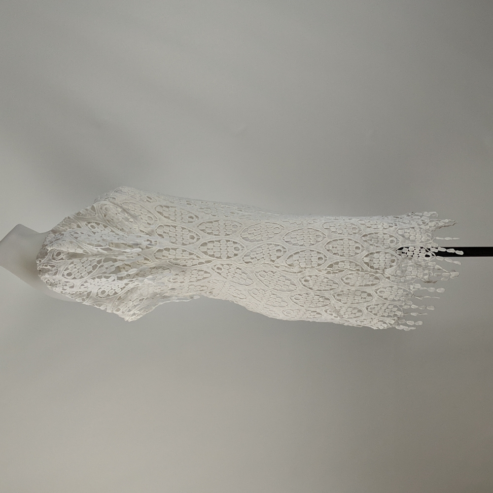 Lioness Dress Size Medium White Lined Cap Sleeves Zip-up Back Lace Fringe BNWT - Picture 5 of 8